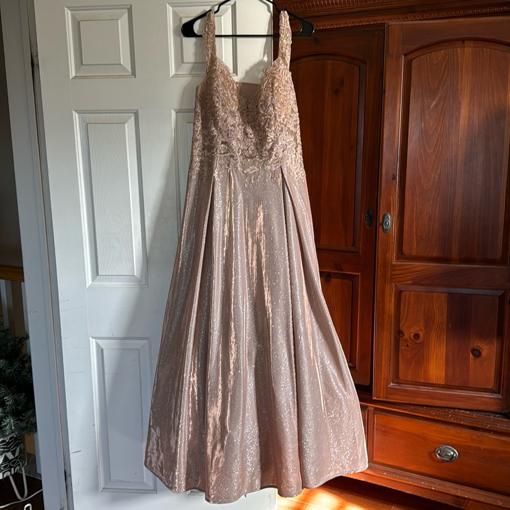 Brand New Rose Gold Forma Dress